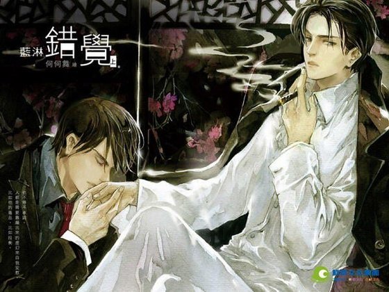 《错觉(出书版)》