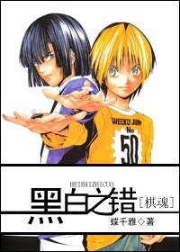 《(棋魂同人)黑白之错》