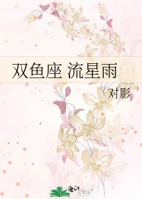 《双鱼座 流星雨》