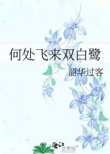 何處飛來雙稗鷺