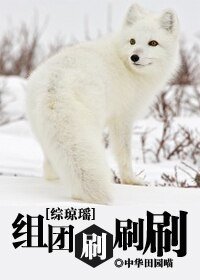 《(综琼瑶同人/BL)综琼瑶之组团刷刷刷》